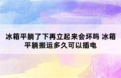 冰箱平躺了下再立起来会坏吗 冰箱平躺搬运多久可以插电